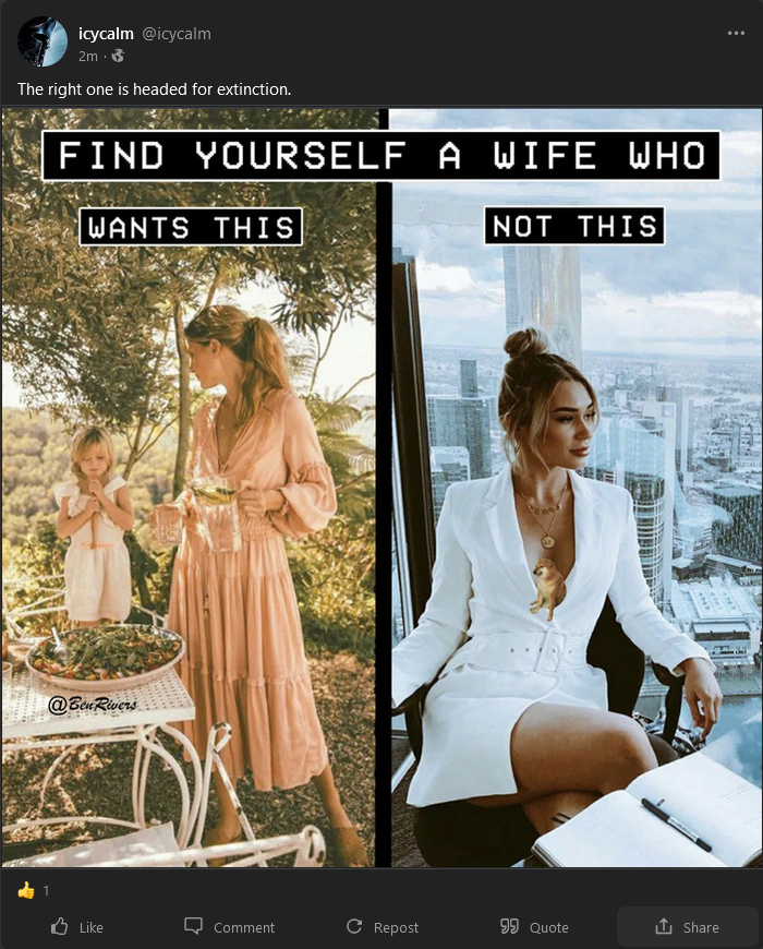 Screenshot 2023-03-15 at 13-40-26 (1) icycalm (@icycalm) - Gab Social.png